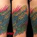 Tattoos - Lorikeets - 71046